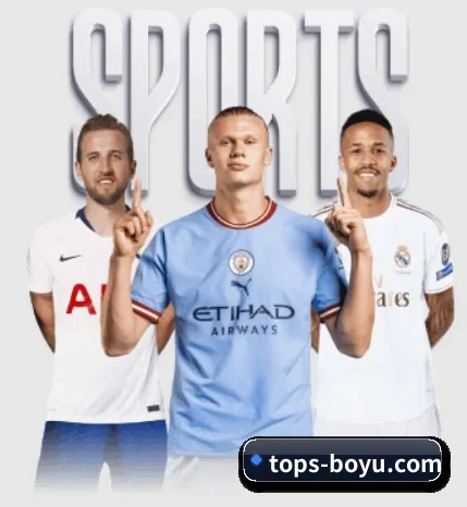 坚持做好基础的事 - 长期内容价值积累 - boyu tiyu