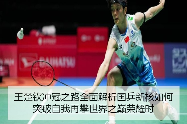王楚钦冲冠之路全面解析国乒新核如何突破自我再攀世界之巅荣耀时