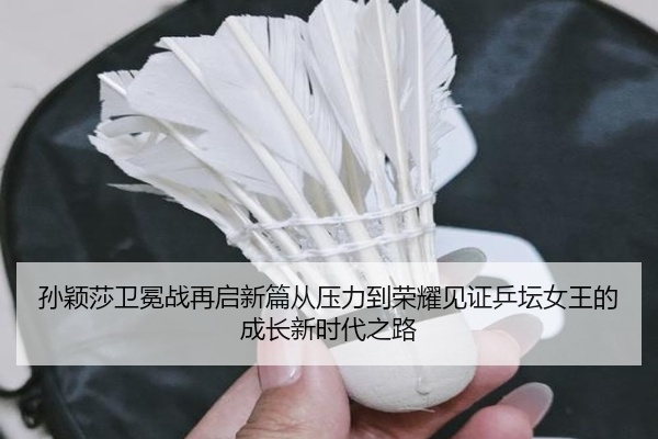 孙颖莎卫冕战再启新篇从压力到荣耀见证乒坛女王的成长新时代之路