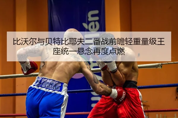 bi-wo-er-yu-bei-te-bi-ye-fu-er-fan-zhan-qian-zhan-qing-zhong-liang-ji-wang-zuo-tong-yi-xuan-nian-zai-du-dian-ran-2-586.jpg